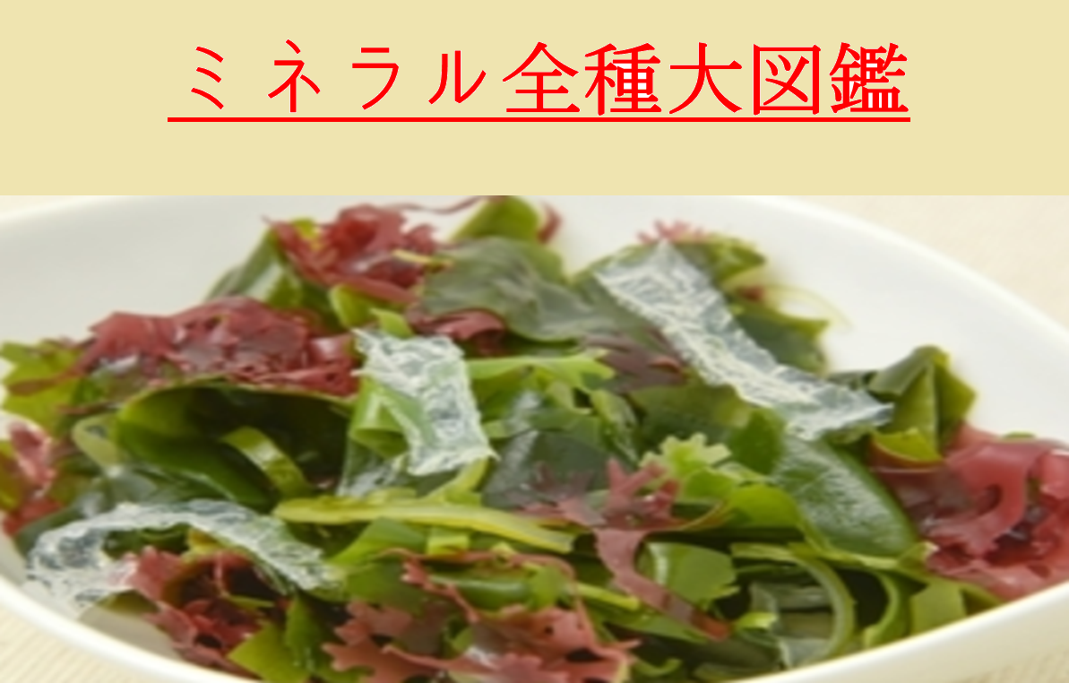 【自給栄養学３】ミネラル大辞典