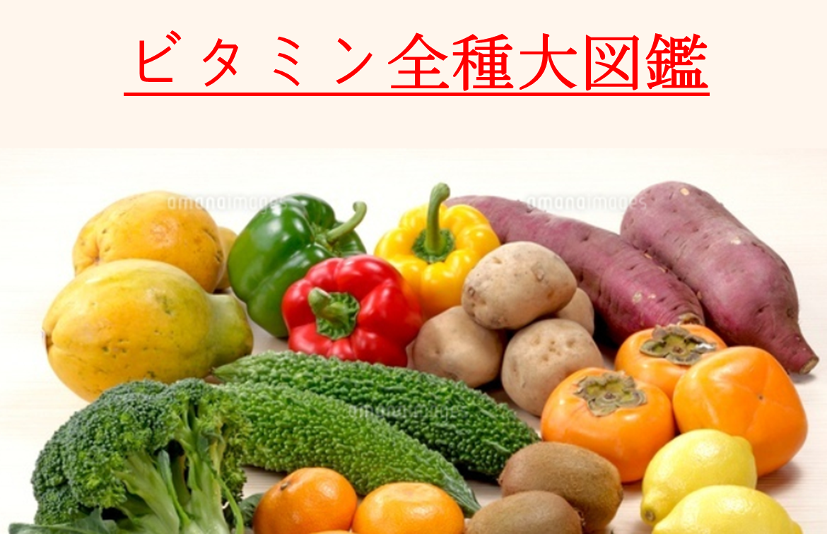 【自給栄養学２】ビタミン大辞典