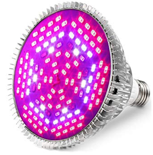 Q.LED室内栽培ではどんな野菜が作れるのですか？