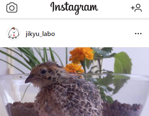 インスタグラムはじめました！